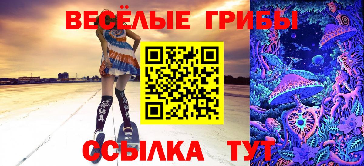 Галлюциногенные грибы Psilocybine cubensis Черкесск
